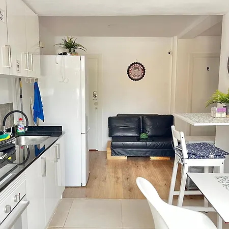 Gypsy Budget Shared Flat Valencia